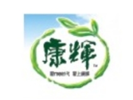 廣（guǎng）東康輝集團有限公（gōng）司